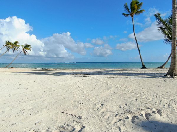 Découverte des services proposés par une agence de voyage