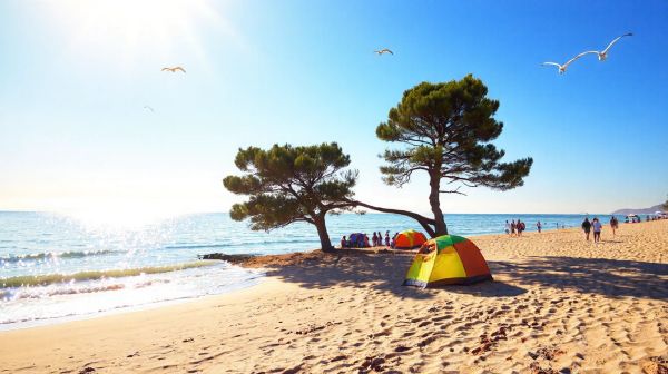 Top 5 raisons d'opter pour le camping à Argelès-sur-Mer
